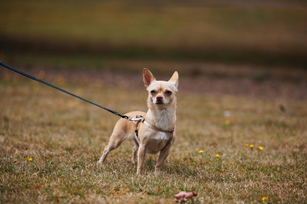 Die finanziellen Chancen: Warum sich eine Immobilieninvestition in einem aufstrebenden Geschäftsviertel lohnt