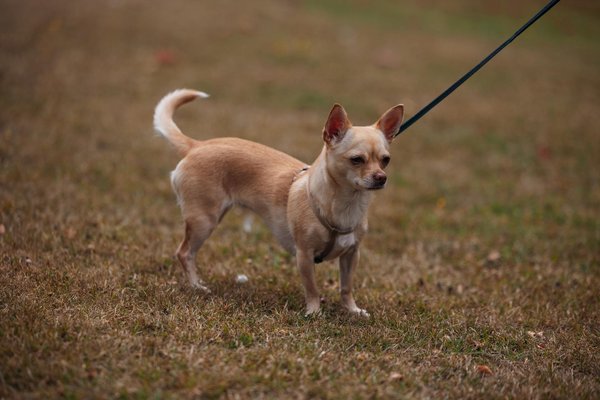Langfristige Vorteile von Investitionen in energieeffiziente Neubauten: Warum nachhaltiges Bauen sich auszahlt